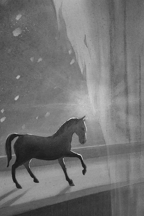 Alla ricerca di Wonder. Il cavallo dei sogni - Lauren St. John - 3