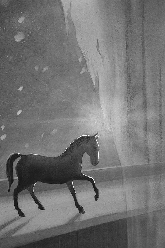 Alla ricerca di Wonder. Il cavallo dei sogni - Lauren St. John - 3