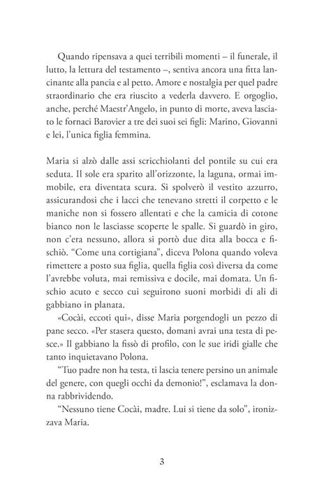 Di vetro e di fuoco - Chiara Lorenzoni - 4