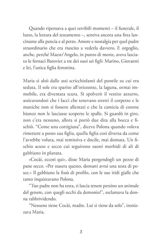 Di vetro e di fuoco - Chiara Lorenzoni - 4