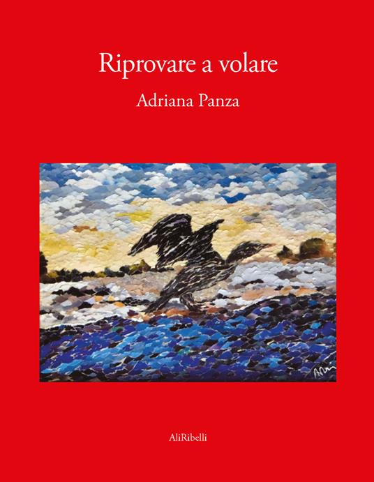 Riprovare a volare - Adriana Panza - copertina
