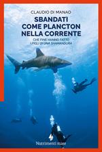 Sbandati come plancton nella corrente. Che fine hanno fatto i «figli di una Shamandura»