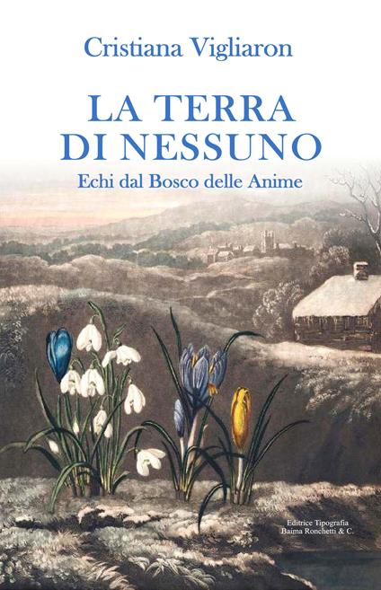La terra di nessuno. Echi dal bosco delle anime - Cristiana Vigliaron - copertina