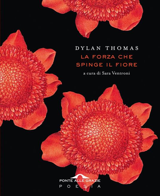 La forza che spinge il fiore - Dylan Thomas - copertina