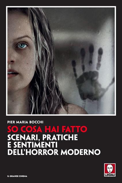 So cosa hai fatto. Scenari, pratiche e sentimenti dell'horror moderno - Pier Maria Bocchi - ebook