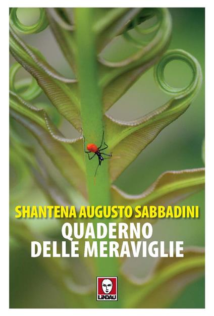 Quaderno delle meraviglie - Shantena Augusto Sabbadini - ebook