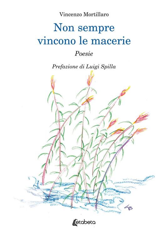 Non sempre vincono le macerie - Vincenzo Mortillaro - copertina