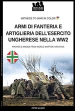 Armi di fanteria e artiglieria dell’esercito ungherese nella WW2