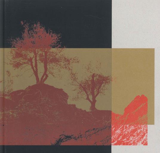 Romagna sfigurata. Ediz. illustrata - Silvia Camporesi - copertina