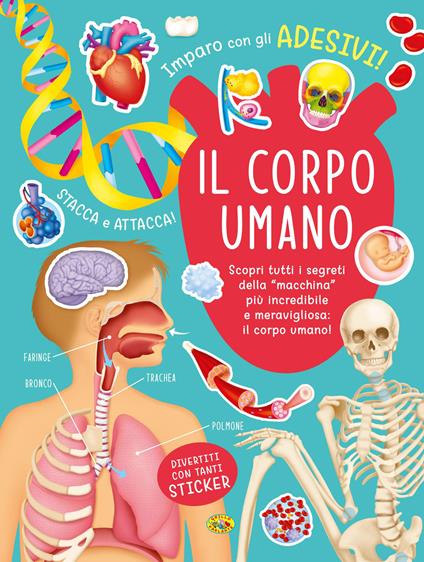 Il corpo umano. Con adesivi. Ediz. a colori - copertina