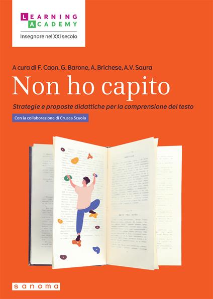 Non ho capito. Strategie e proposte didattiche per la comprensione del testo - Fabio Caon,Gianluca Barone,Annalisa Brichese - copertina