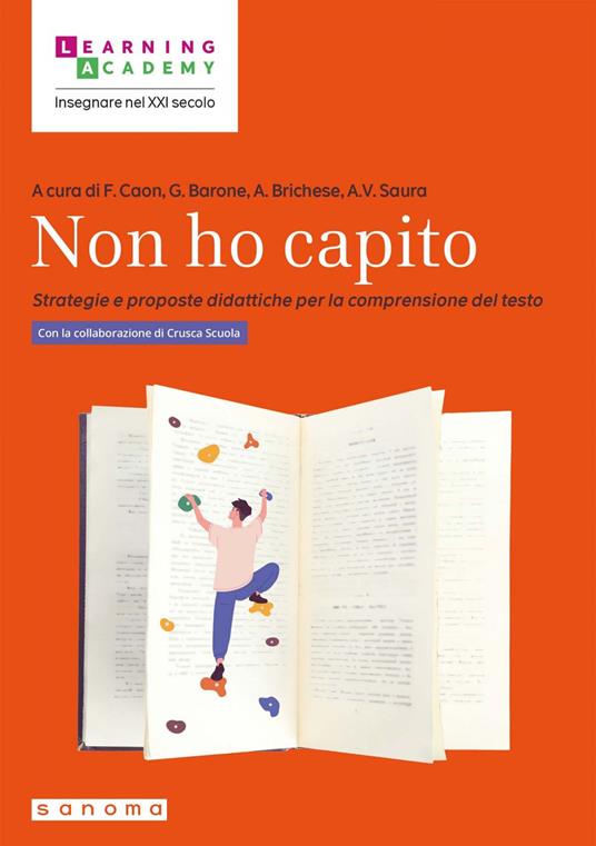 Non ho capito. Strategie e proposte didattiche per la comprensione del testo - Gianluca Barone,Annalisa Brichese,Fabio Caon,Anna Valeria Saura - ebook