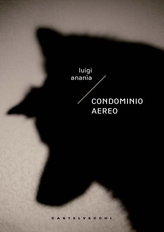 Condominio aereo - Luigi Ananìa - copertina