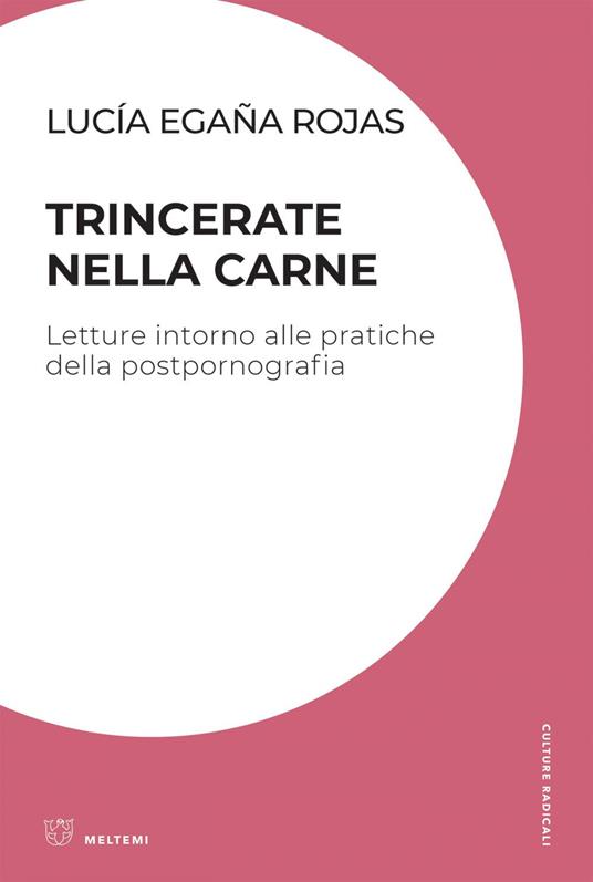 Trincerate nella carne. Letture intorno alle pratiche della postpornografia - Lucía Egaña Rojas,Helena Falabino,Gruppo di ricerca Ippolita - ebook