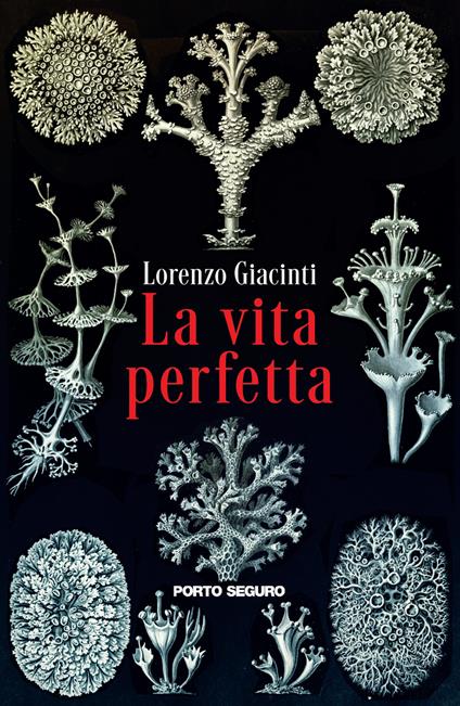 La vita perfetta - Lorenzo Giacinti - copertina