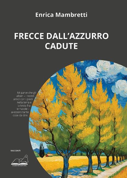 Frecce dall'azzurro cadute - Enrica Mambretti - copertina