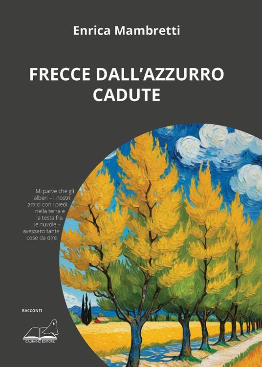 Frecce dall'azzurro cadute - Enrica Mambretti - copertina