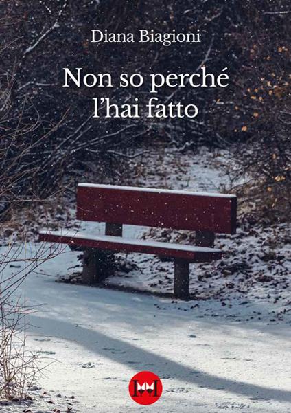 Non so perché l'hai fatto - Diana Biagioni - copertina