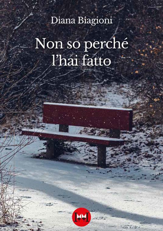 Non so perché l'hai fatto - Diana Biagioni - copertina