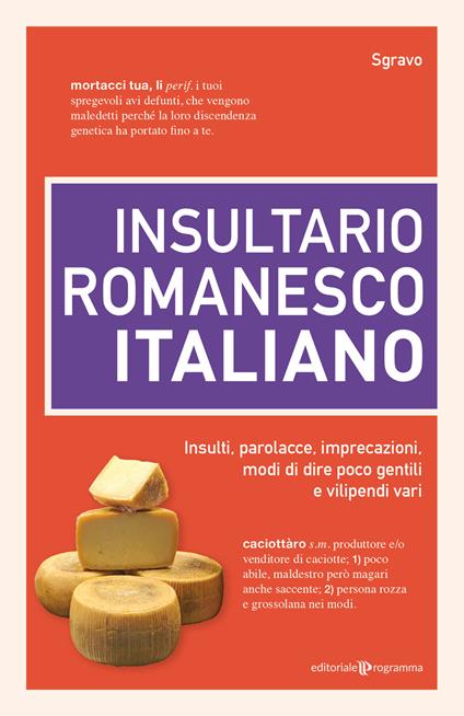 Insultario romanesco-italiano. Insulti, parolacce, imprecazioni, modi di dire poco gentili e vilipendi vari - Sgravo - copertina