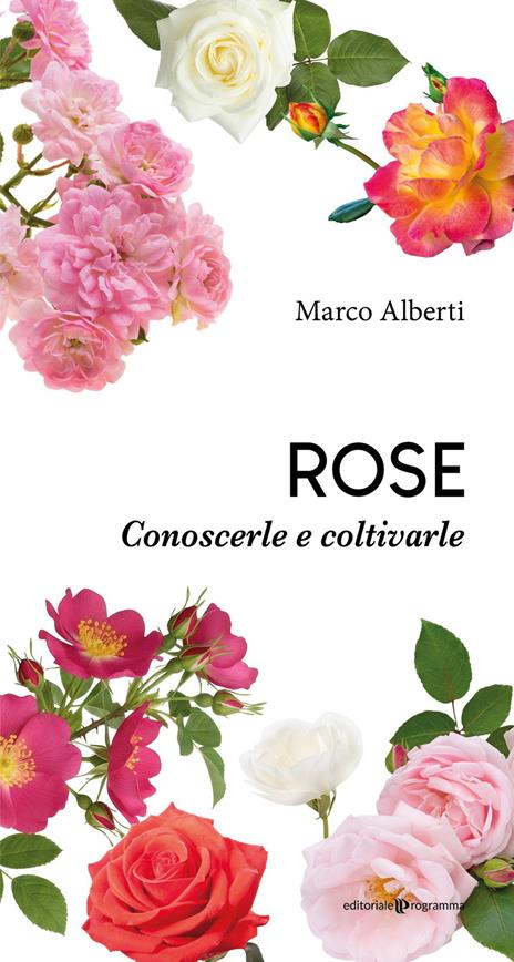Rose. Conoscerle e coltivarle - Marco Alberti - copertina