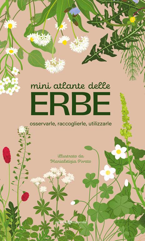 Mini atlante delle erbe. Osservarle, raccoglierle, utilizzarle - copertina