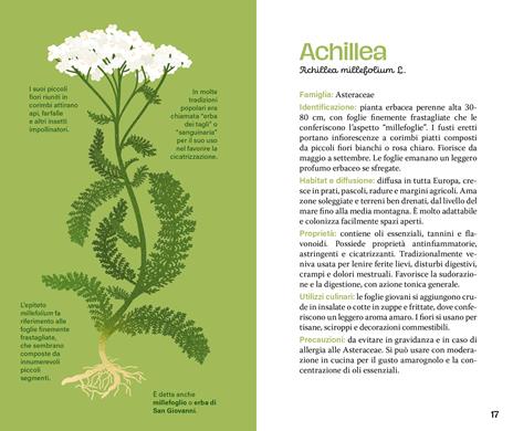 Mini atlante delle erbe. Osservarle, raccoglierle, utilizzarle - 2