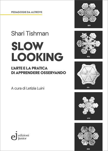 Slow looking. L'arte e la pratica di apprendere osservando - Shari Tishman - copertina
