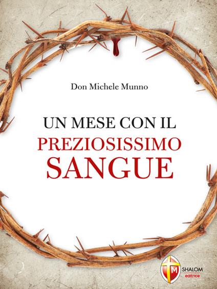 Un mese con il preziosissimo sangue - Michele Munno - ebook