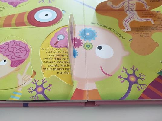 Il corpo umano. I primi libri del perché. Ediz. a colori - 2