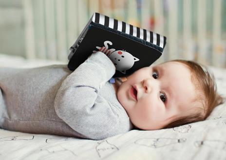 Orsetto. Animali morbidi. Ediz. a colori - 3