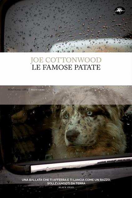 Le famose patate - Joe Cottonwood,Francesco Franconeri - ebook