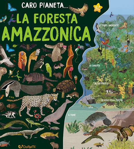 La Foresta Amazzonica. Ediz. a colori - Alex Woolf - copertina