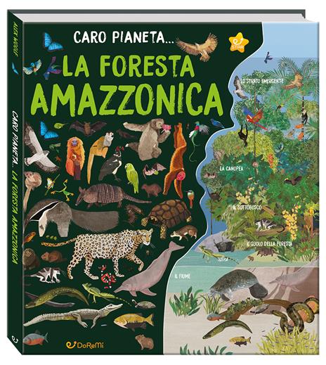 La Foresta Amazzonica. Ediz. a colori - Alex Woolf - copertina