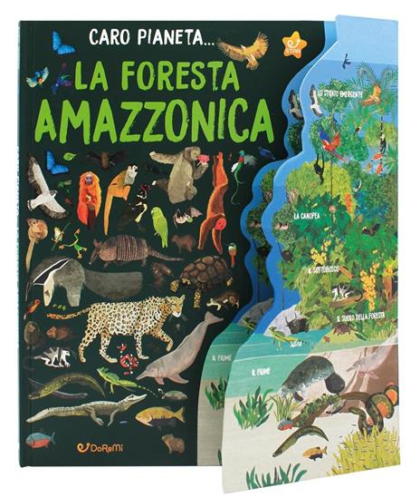 La Foresta Amazzonica. Ediz. a colori - Alex Woolf - 2