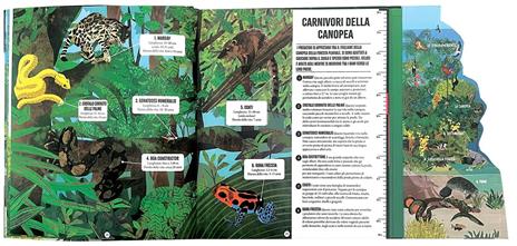 La Foresta Amazzonica. Ediz. a colori - Alex Woolf - 3