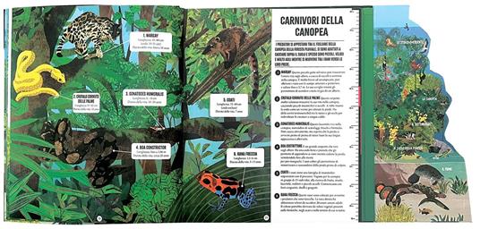 La Foresta Amazzonica. Ediz. a colori - Alex Woolf - 3