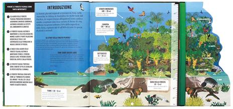 La Foresta Amazzonica. Ediz. a colori - Alex Woolf - 4