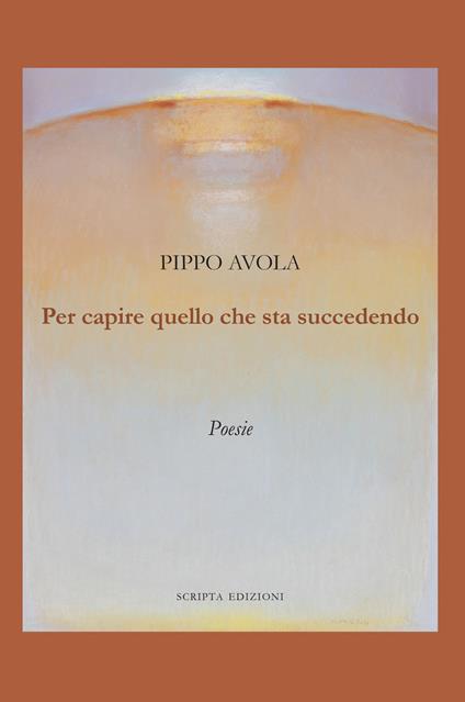 Per capire quello che sta succedendo - Pippo Avola - copertina