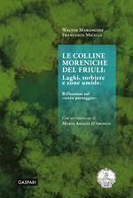 Le colline moreniche del Friuli