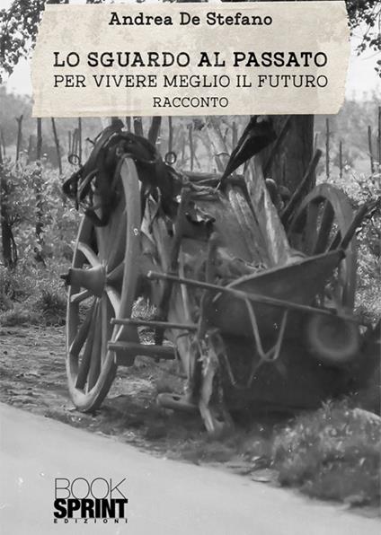 Lo sguardo al passato - Andrea De Stefano - ebook