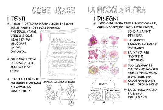 Piccola flora del viandante - Marine Cressy - 2