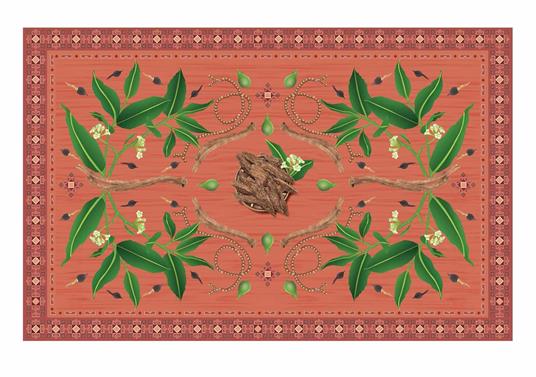 Atlante di botanica profumata. Essenze complementari. Ediz. illustrata - Jean-Claude Ellena - 3