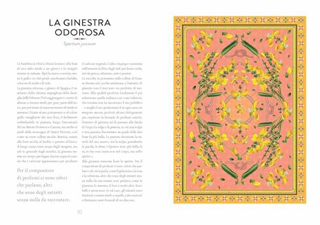 Atlante di botanica profumata. Essenze complementari. Ediz. illustrata - Jean-Claude Ellena - 4