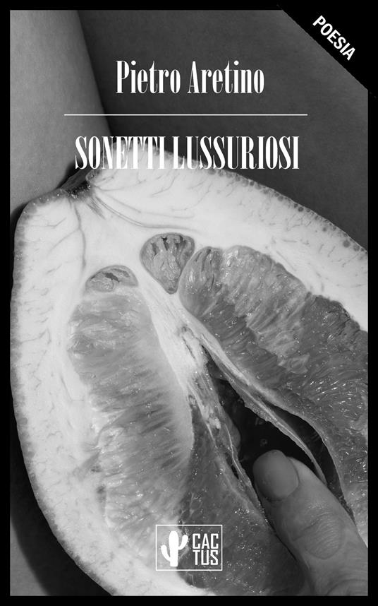 Sonetti lussuriosi - Pietro Aretino - ebook