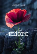 Micro