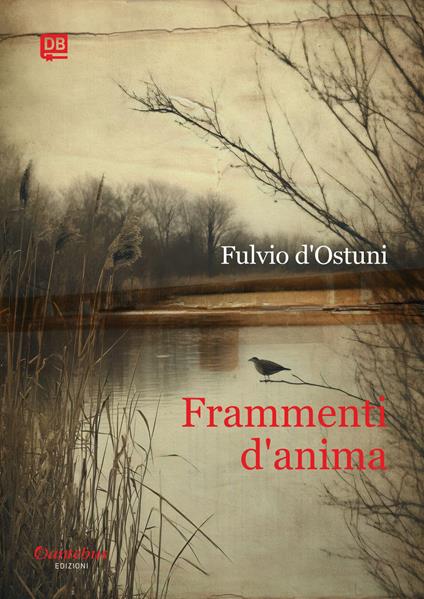 Frammenti d'anima - Fulvio d'Ostuni - ebook