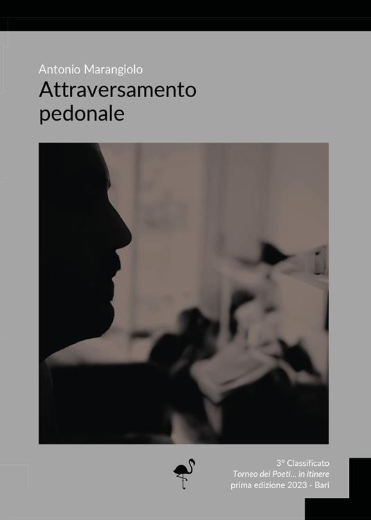Attraversamento pedonale - Antonio Marangiolo - copertina