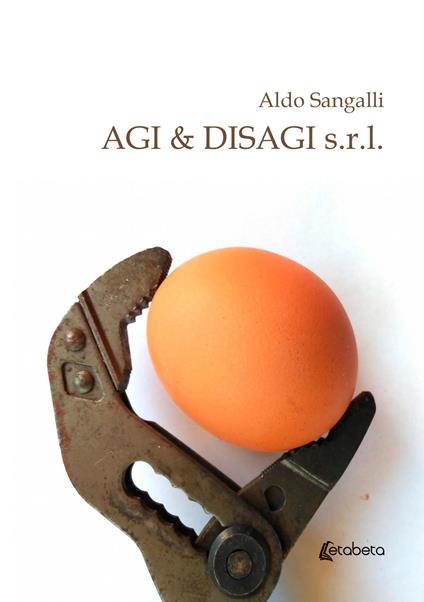 Agi & disagi s.r.l. - Aldo Sangalli - copertina