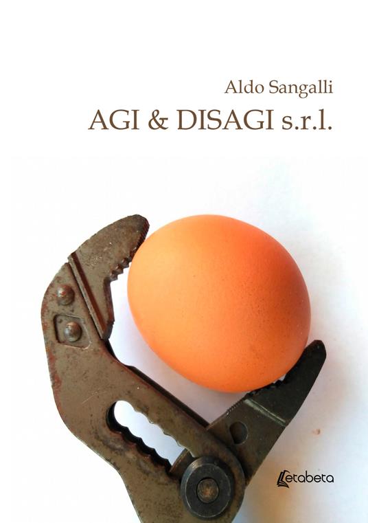 Agi & disagi s.r.l. - Aldo Sangalli - copertina